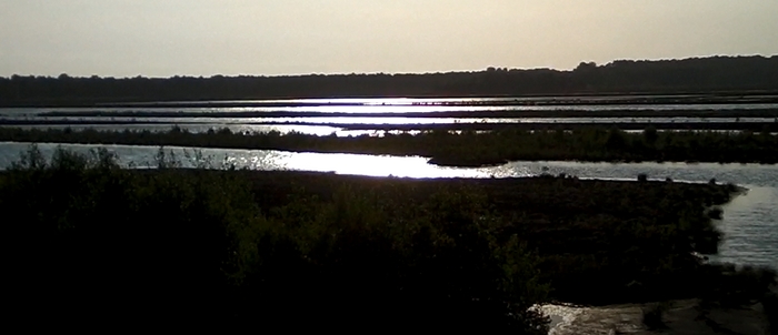 Die flachen Moorwässer glänzen im Abendlicht Die flachen Moorwässer glänzen im Abendlicht