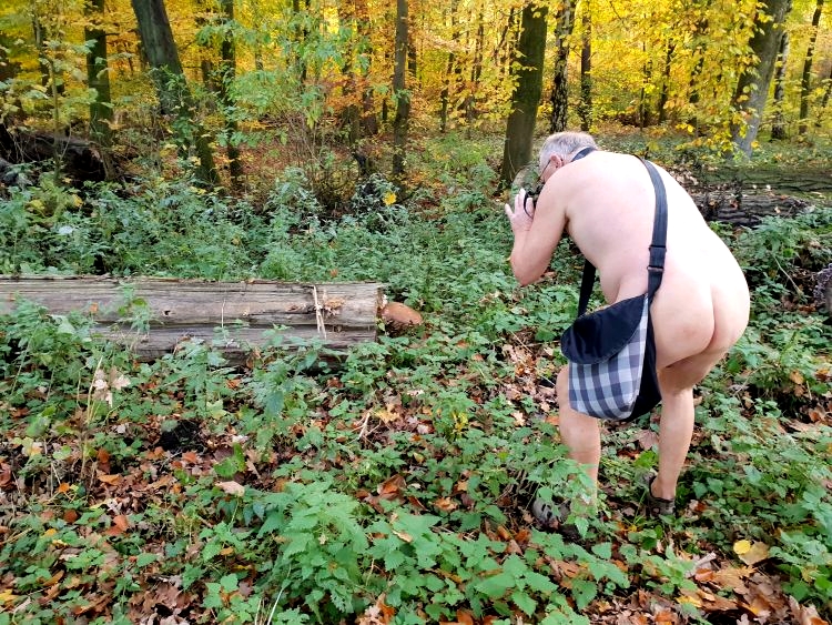 Welcher Pilz waechst denn da 20181107 Welcher Pilz waechst denn da
