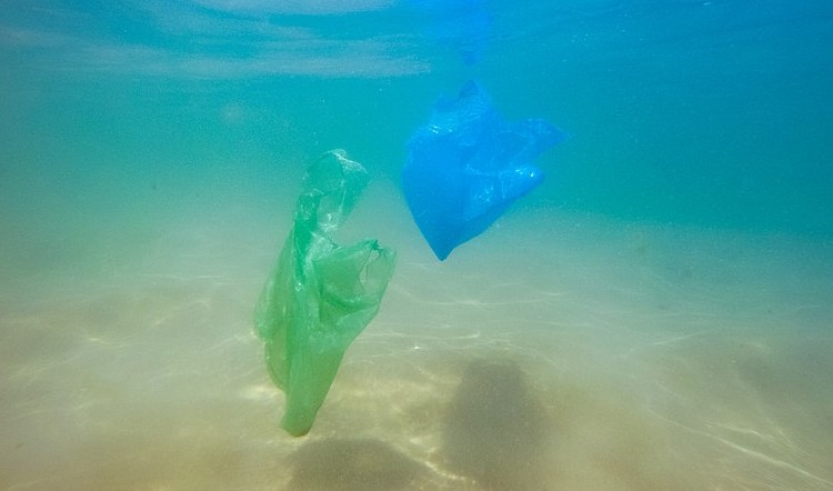 Plastikmuell im Meer Plastikmüll im Meer